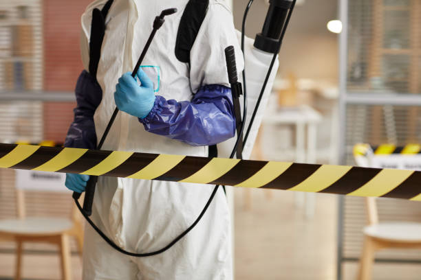 Professional Hoarding Cleanup technician working in Lockhart, TX